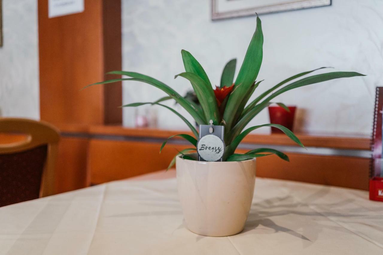 Guest House Sv. Nikola Dugo Selo 外观 照片